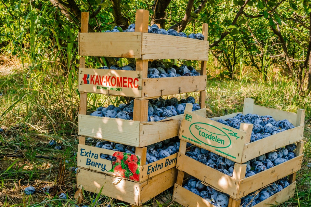 SVE PREDNOSTI RURALNOG ŽIVOTA Selo je idealno mesto za život ako tražite harmoniju sa prirodom (FOTO/VIDEO)