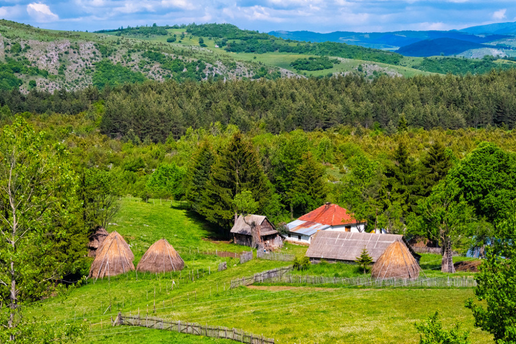 SVE PREDNOSTI RURALNOG ŽIVOTA Selo je idealno mesto za život ako tražite harmoniju sa prirodom (FOTO/VIDEO)