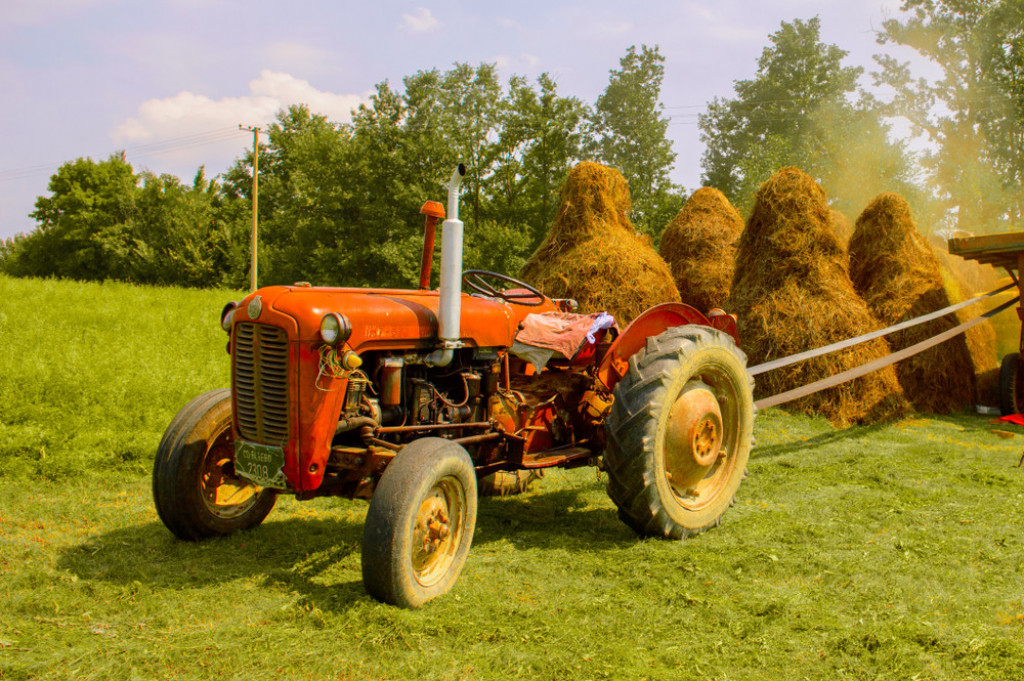 SVE PREDNOSTI RURALNOG ŽIVOTA Selo je idealno mesto za život ako tražite harmoniju sa prirodom (FOTO/VIDEO)