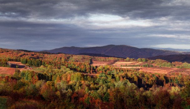 NI NE SLUTITE KOLIKO DOBARA IMA OVA PLANINA Izgrađena je od paleozojskih škriljaca i magmatskih stena (FOTO/VIDEO)