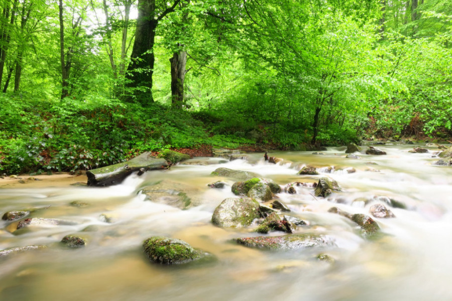 JEDAN JE OD NAJUŽIH U EVROPI Probijajući se kroz stene, Zvonačka reka useca minijaturni kanjon (FOTO/VIDEO)