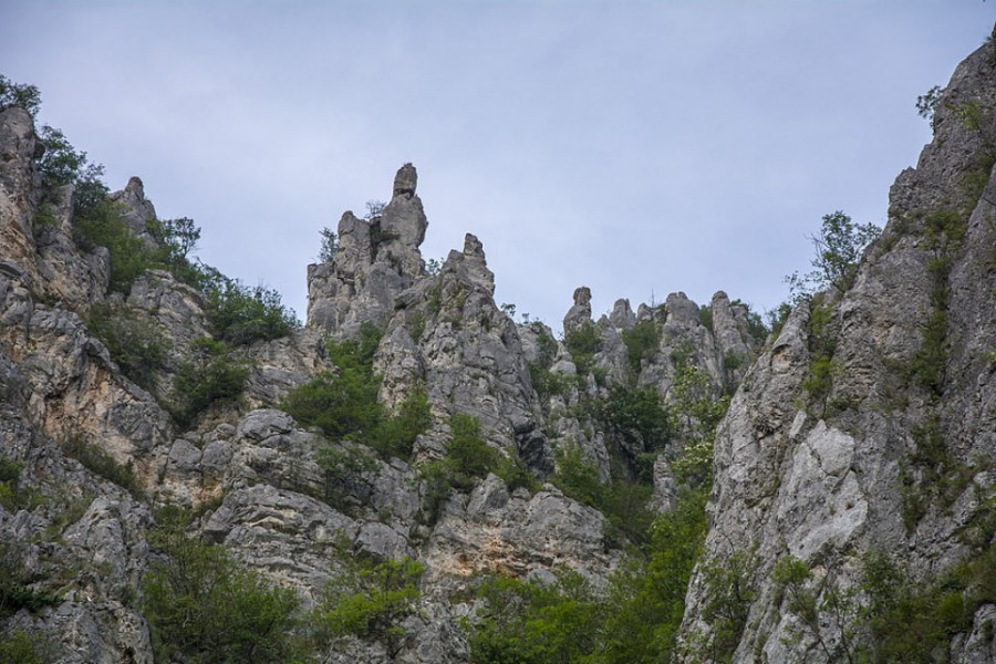 DIVLJA LEPOTA VLAŠKE PLANINE Ime dobila po selu Vlasi, koje je naziv dobilo po množini reči vlah koja može označavati stočara (FOTO/VIDEO)