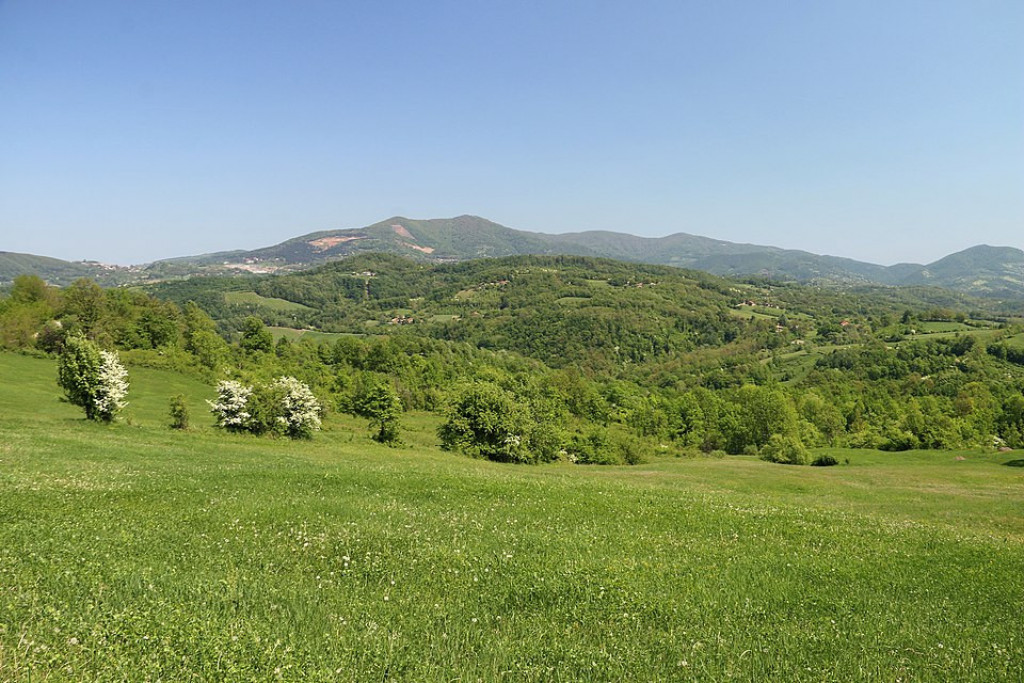 PLANINA KOJA DOMINIRA ŠUMADIJOM Još 1922. godine Rudnik je bio proglašen za vazdušnu banju (FOTO/VIDEO)