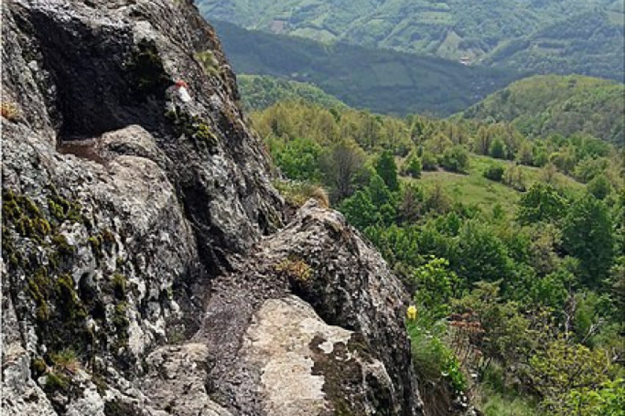 KAKO JE ŠUMADIJA DOBILA IME Mistične šume koje su plašile putnike