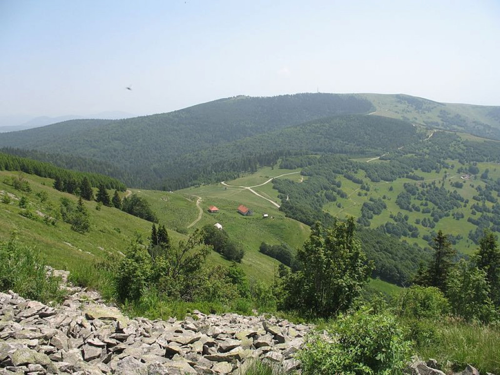 KAKO SU DVA POBRATIMA NOSILA PO KAMEN NA VRH PLANINE Golema planina, eliksir mladosti, od šuma do izvora