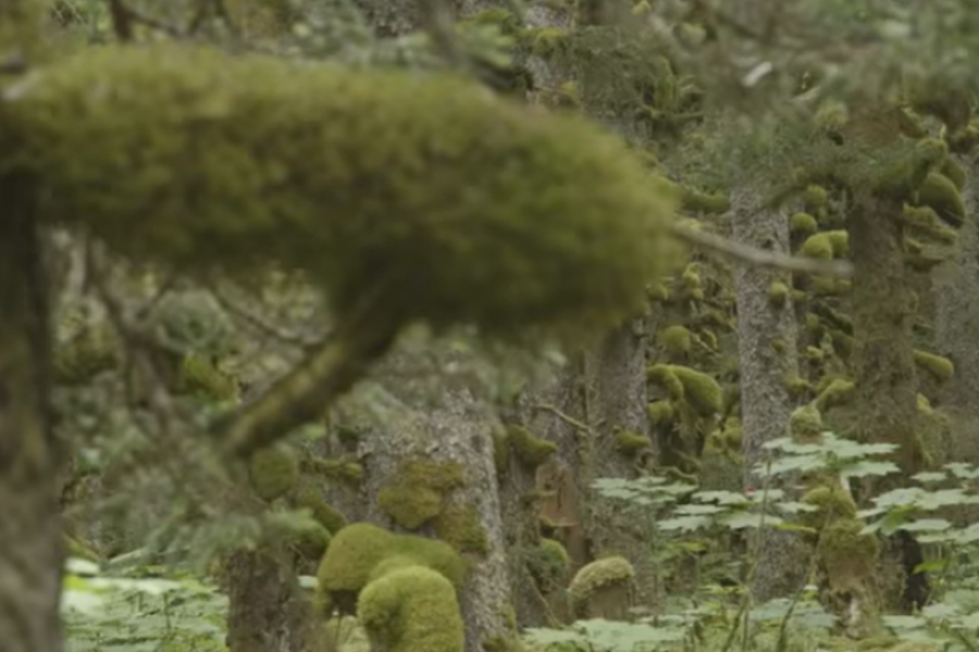 BEZ STRUJE NA POLARNOJ ZIMI Pravoslavno čudo na Aljasci, žive odsečeni od sveta!(FOTO/VIDEO)