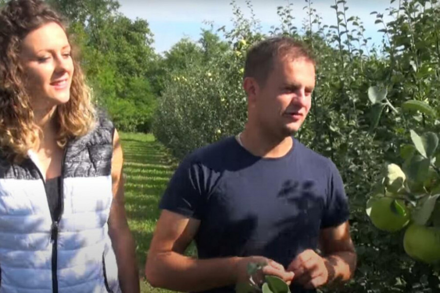 OVO SU NAJBOLJI SEZONSKI POSLOVI U SRBIJI Zarade i preko 1000 evra mesečno, ali ćete se oznojiti