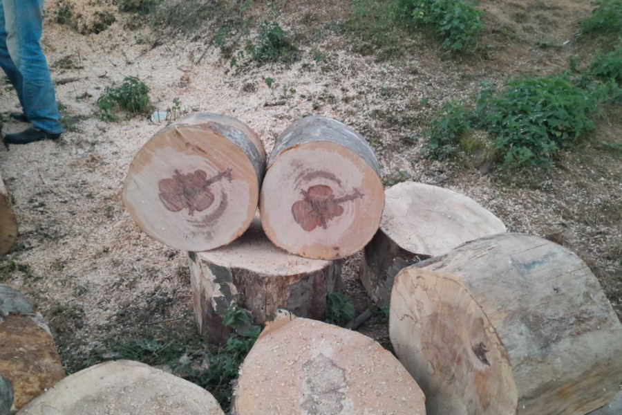 BOŽIJA RUKA JE NAJBOLJI MARKETING "Iznenađeno smo zagledali trupac i krstili se" (FOTO/VIDEO)