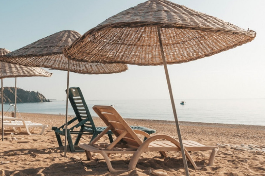 ZAŠTO JEDETE SARMU IZ ŠERPE NA PLAŽI Srbin objavom razbesneo društvene mreže zbog vređanja paradajz turista: "Ponašate se kao stado divljih bikova"