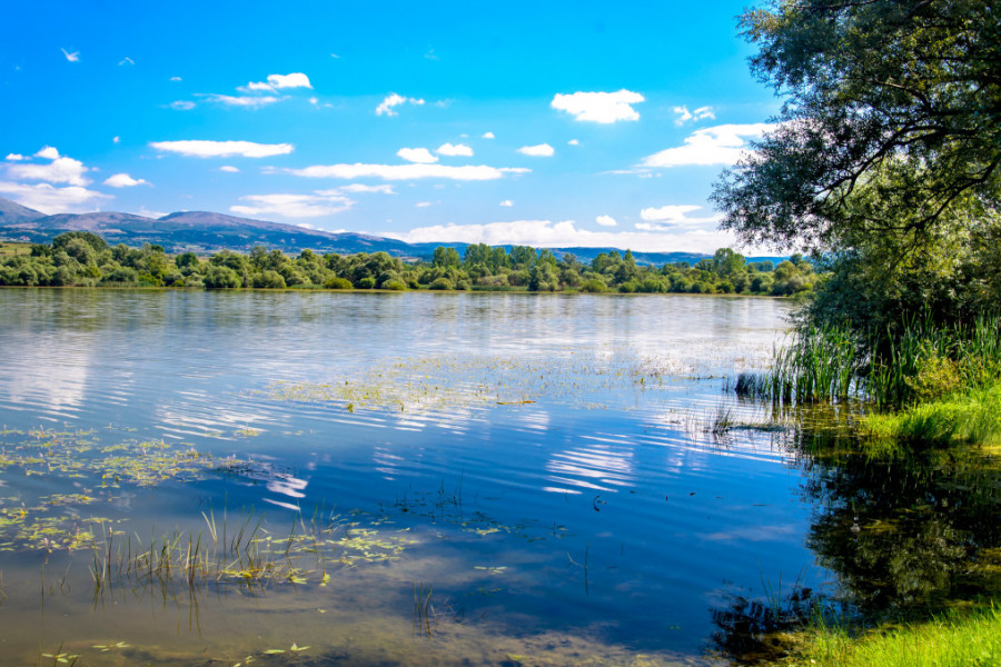 SRPSKO JEZERO KOJE JE IDEALNA ZAMENA ZA MORE nalazi se u blizini jedne od naših najlepših banja: Pitomo, bistro i mirno - savršeno za celodnevna letnja uživanja