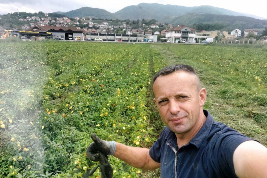 KO VOLI DA SPREMA ZIMNICU NEK' IZVOLI Paprika u dolini Lima rodila kao nikada ranije (FOTO/VIDEO)