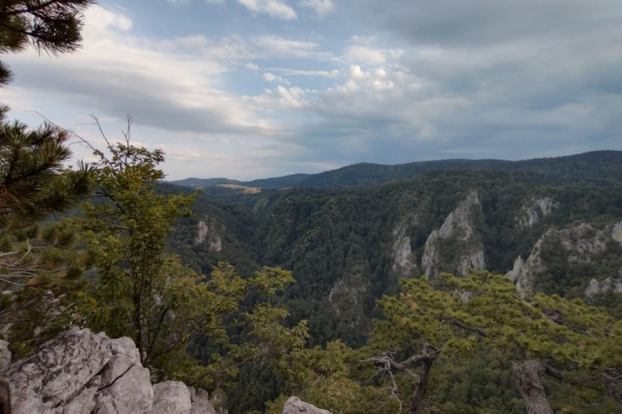 MESTO GDE SE GNEZDE SURI ORLOVI Najlepši vidikovac u Srbiji, možete sresti i divljač