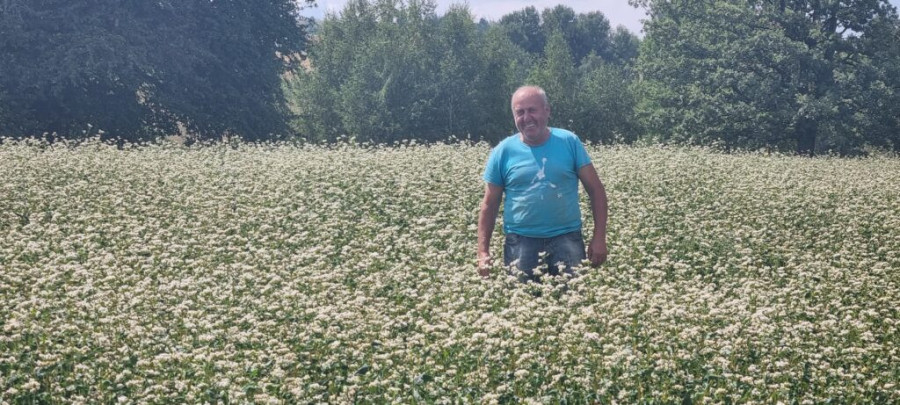 ZA OVIM ŽITOM VLADA OGROMNA POTRAŽNJA Srpsko seme raži čuva se u Svetskom trezoru biljaka na udaljenom norveškom ostrvu