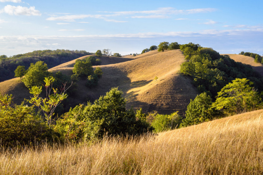 EKOLOŠKI I GEOGRAFSKI FENOMEN Srpska sahara na samo sat vremena udaljenosti od Beograda
