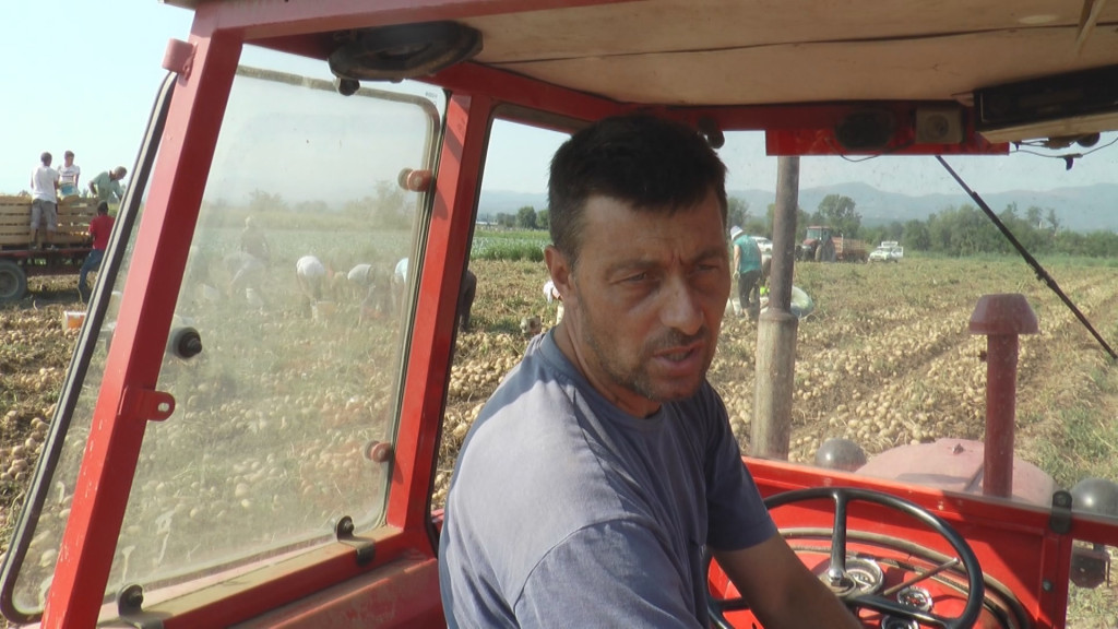NEMA ODMORA DOK TRAJE OBNOVA Uzgajivači krompira imaju pune ruke posla, evo i zašto (FOTO/VIDEO)
