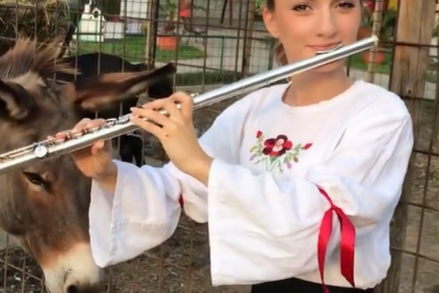 SOFISTICIRANA VERZIJA "VASKO ŽABATA" Tijana iz Trstenika u narodnoj nošnji odsvirala je taktove ove čuvene pesme (FOTO/VIDEO)