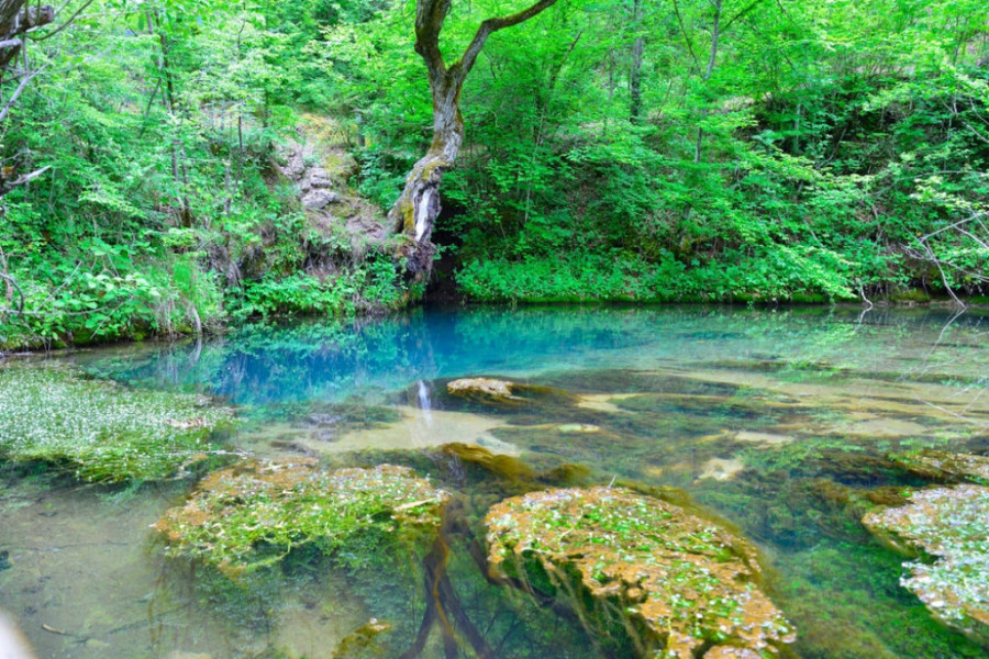 OVE LEPOTE SU KONAČNO POD ZAŠTITOM Srbija će proglasiti dva nova nacionalna parka nakon 40 godina (FOTO/VIDEO)