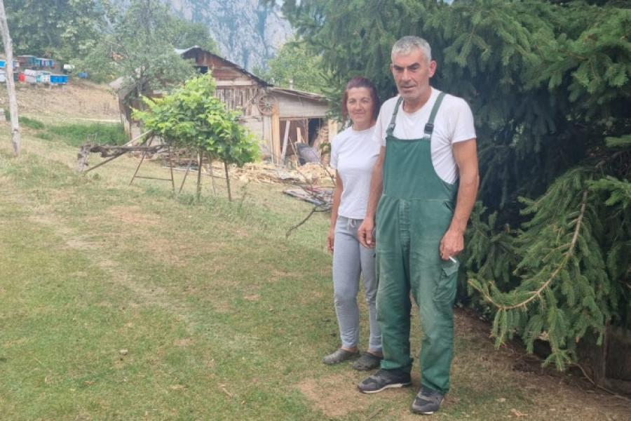 KADA SPOJITE ZANAT I LJUBAV TO IZGLEDA OVAKO Nikad bolja godina za domaće proizvođače meda (FOTO/VIDEO)