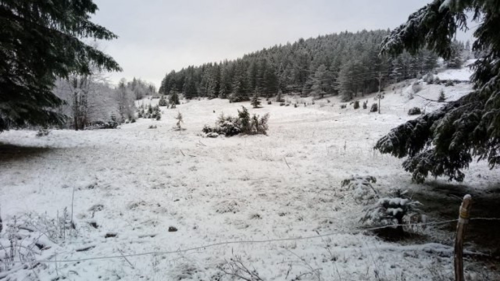 GOLIJA JE PLANINA NA KOJOJ JE ZIMA POSEBNA PRIČA Na Jankovom kamenu temperatura daleko ispod nule (FOTO)