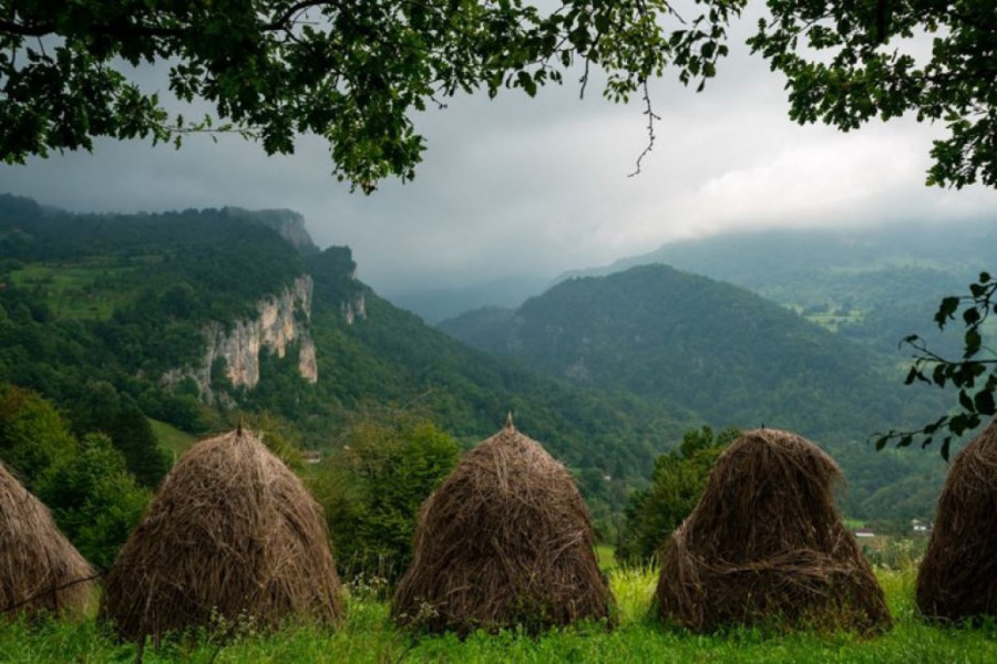 NAJLEPŠE BOJE SRBIJE Ovaj deo naše zemlje jednostavno morate posetiti ove jeseni (FOTO)