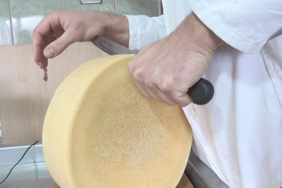 ČAČANI NAPRAVILI SPECIJALITET PROTIV UROKA Sir od belog luka rešava sve boljke, dok od cene magaraćeg vas zaboli glava