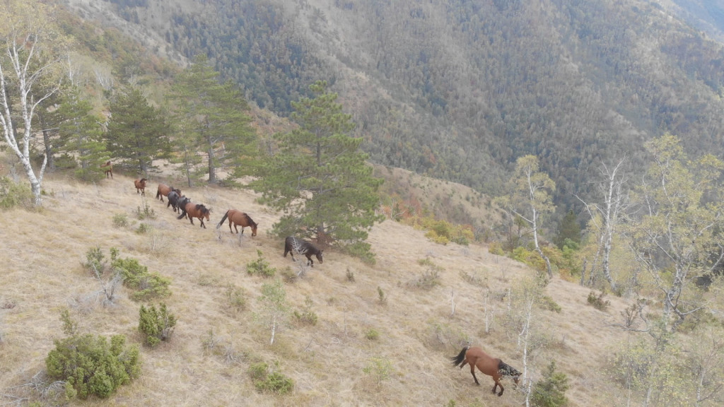 ZA NEKE OD NJIH SIGURNO NISTI ČULI Da li znate koliko Srbija ima planina?