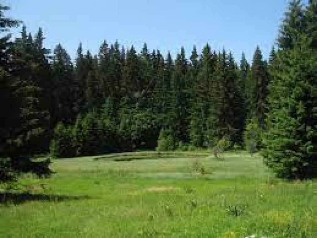 KAKO SU DVA POBRATIMA NOSILA PO KAMEN NA VRH PLANINE Golema planina, eliksir mladosti, od šuma do izvora