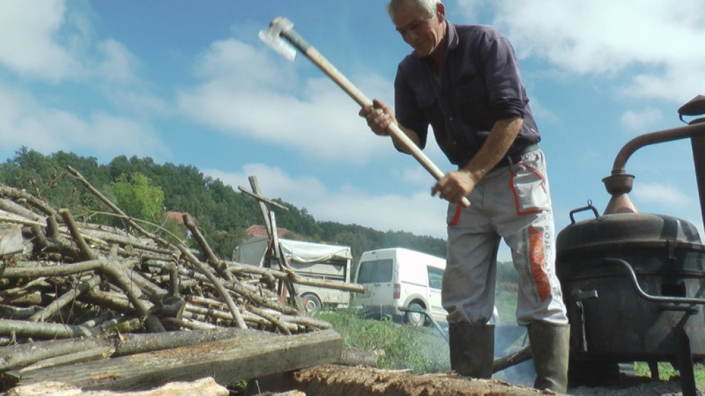 POREZ ZA SAMCE KAO U DOBA KNEZA MILOŠA Veljo iz sela Lopaš ima rešenje za belu kugu, tvrdi da se porodica treba formirati do tridesete