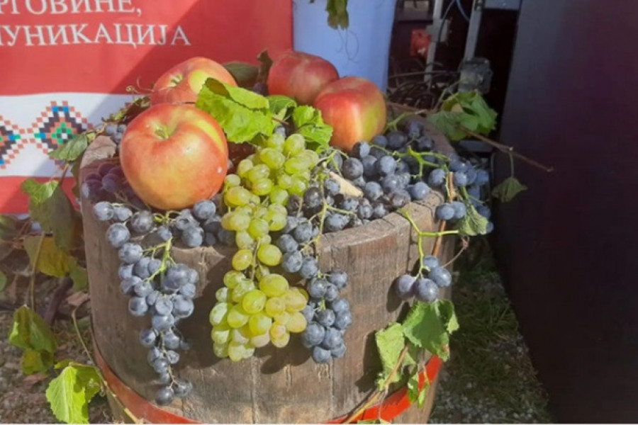 "OBRAŠE SE VINOGRADI" U TOJ TOSKANI Jedna od najznačajnijih manifestacija u Srbiji, važna za promociju vinskog turizma (FOTO/VIDEO)