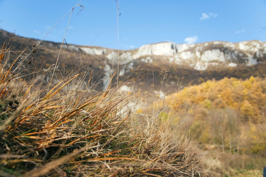 MORATE DOŽIVETI OVU LEPOTU Planina u Srbiji koja očarava netaknutom prirodom (FOTO)