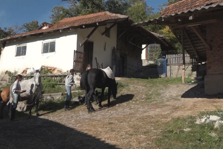 DIVLJI GALOP ILI SPORI KAS? Proplanak odakle puca pozlaćena oktobarska razglednica na Tresku, može se videti sa sedla (FOTO/VIDEO)