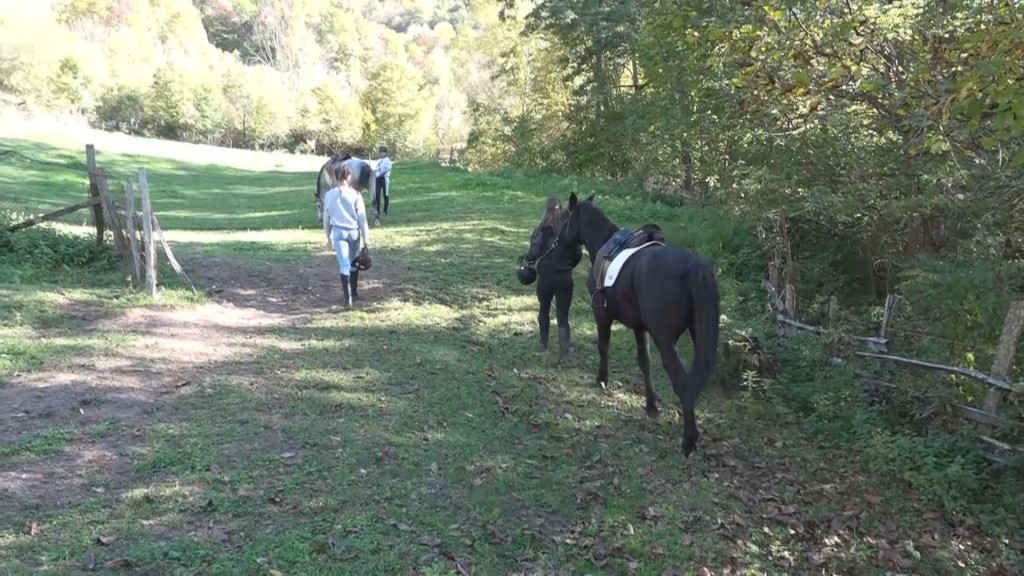 IMA SAMO 16 GODINA Ema obožava konje, ima četiri lepotana Zeku, Cigu, Vihora i Zebu a sada je u svom selu otvorila prvi Jahački klub (FOTO)