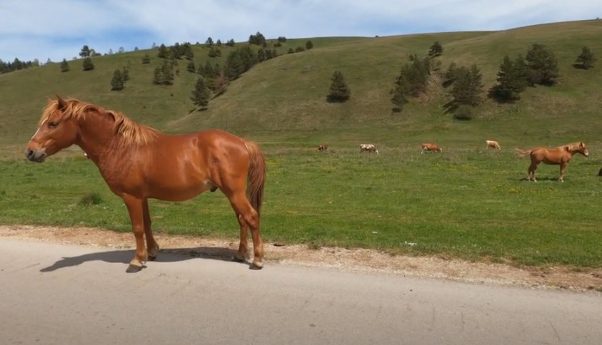 SELA U SRBIJI KAO IZ BAJKE Možda za njih nikada niste čuli, ali u njima mašta postaje stvarnost (FOTO)