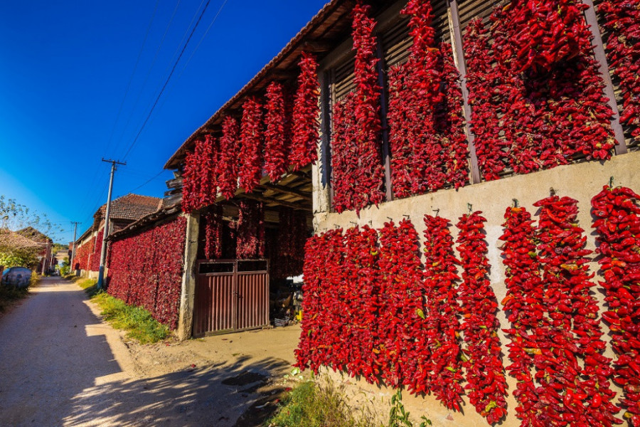 MESTO U KOM "ŽIVE" PAPRIKE Srpsko selo obojeno u crveno tokom jeseni, a prizori ostavljaju bez daha (FOTO)