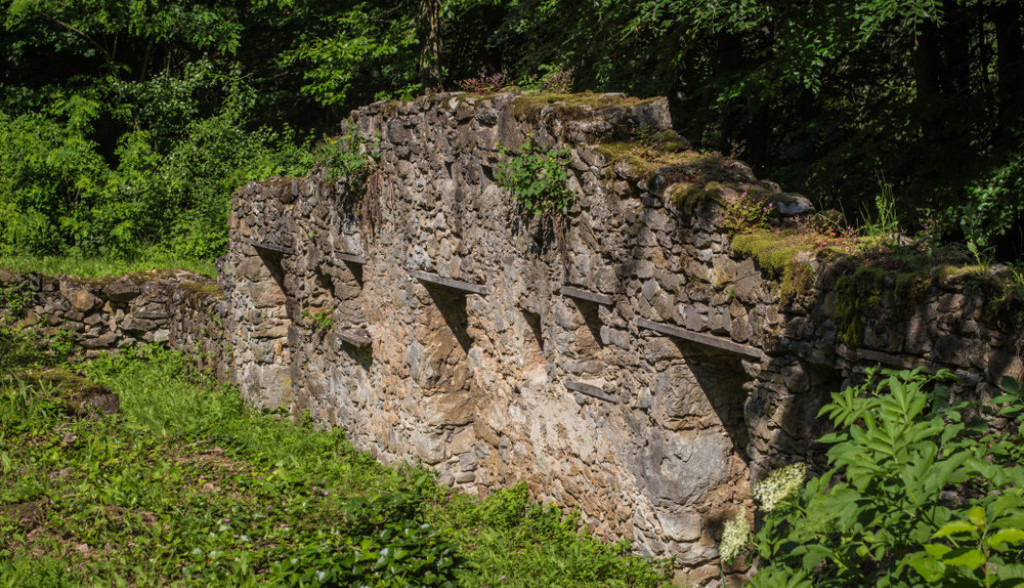 Kasteljan