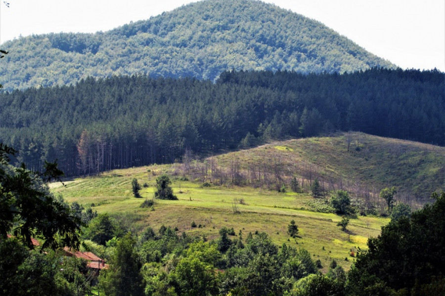 KAŽU ZA NJU DA JE NAJLEKOVITIJA SRPSKA PLANINA Lepotica nadomak Kraljeva nudi beg od gužve, izvore, a tu je i poznata banja (FOTO)