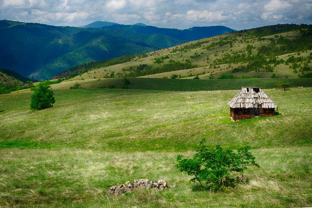 RAJ IZMEĐU ZLATIBORA I TARE Selo koje krije nestvarnu prirodu, a ime je dobilo po izvorima (FOTO)