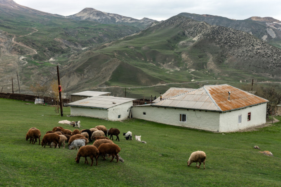 Mnogi ne znaju za ovo selo na jugu Srbije za koje kažu da je raj na zemlji: Ima samo četiri stanovnika, a najmlađem je 56 godina