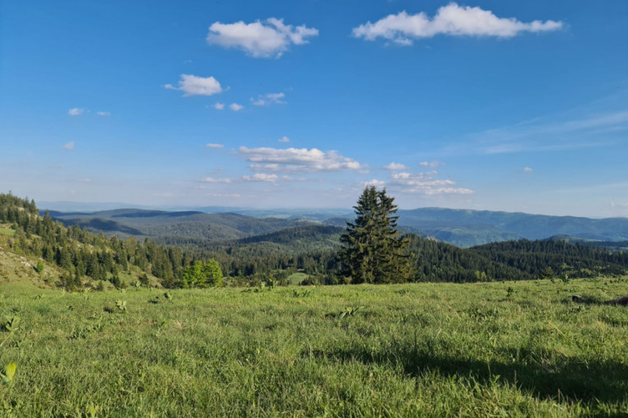 NAPUŠTAJU DRŽAVNE POSLOVE I OKREĆU SE KA TURIZMU Privatni biznis cveta na Zlataru, sve što se ponudi to se i proda turistima, a najveće interesovanje za džip ture i vožnju kvadovima