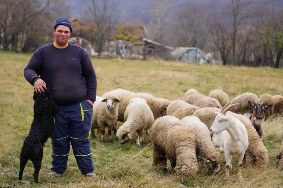MALO KO ZNA NJIHOVO ZNAČENJE Ovo je 30 zaboravljenih srpskih reči, koristili su ih stari Srbi