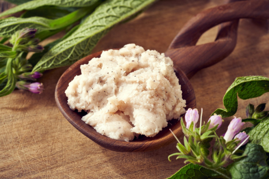 U KOMBINACIJI SA RAKIJOM OVA BILJKA NEMA GRANICE U narodu se verovalo da potiče iz rajskog vrta (RECEPT)