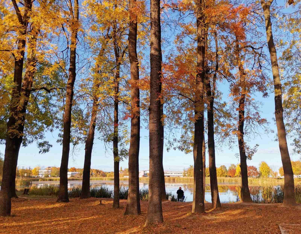 ZELENA OAZA U CENTRU KRAGUJEVCA Od proleća počinje sa radom zabavni park na jezeru Bubanj, evo kako će izgledati (FOTO)