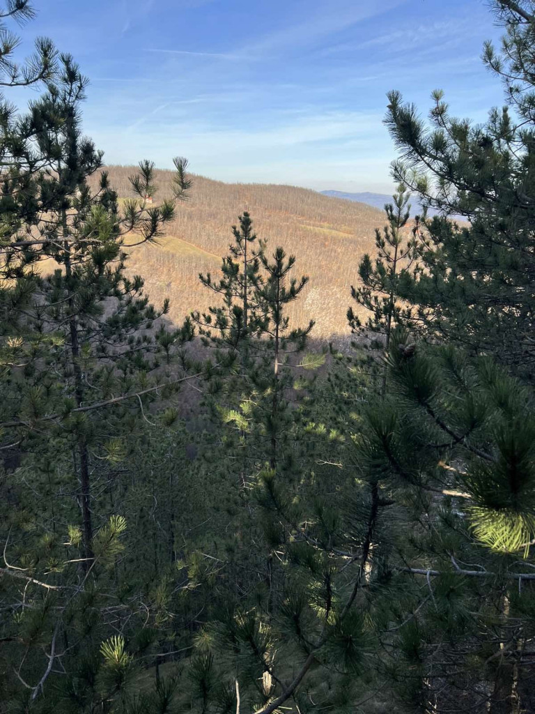 Pogled puca na lepotu i istoriju sa 1000 metara nadmorske visine: Planina Tara dobila još jedan uređeni vidikovac