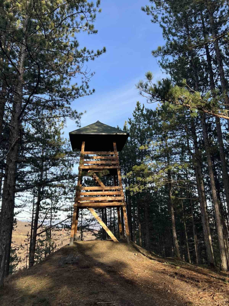 Pogled puca na lepotu i istoriju sa 1000 metara nadmorske visine: Planina Tara dobila još jedan uređeni vidikovac