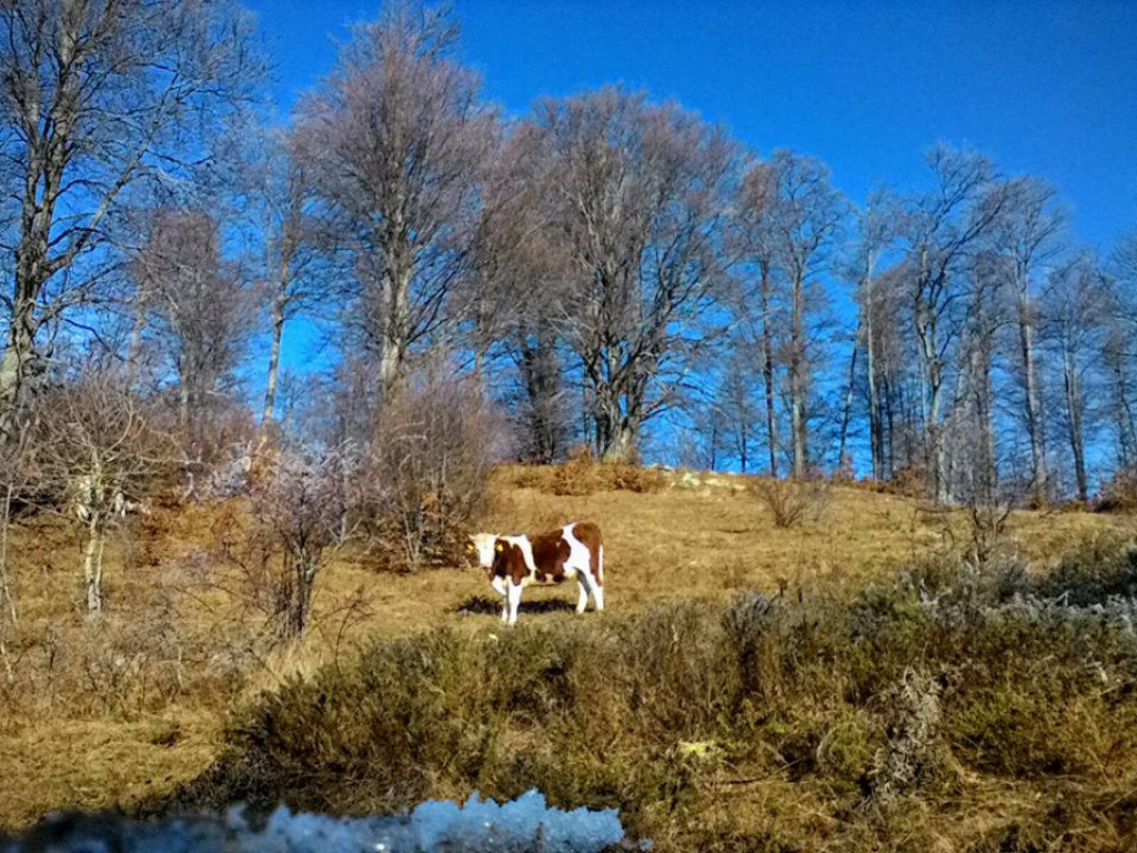 LEGENDA O DEVOJCI I NJENOJ KOBILI Srpska planina dobila je neobično ime, a njena lepote očarava sve koji je posete (FOTO)