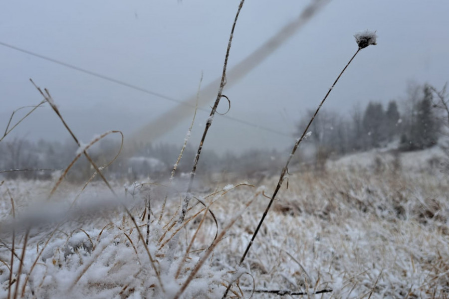 STIŽE MEĆAVA U ZAPADNU SRBIJU Sneg u planinskim novovaroškim selima pada već nekoliko sati, konačno obelele livade i pašnjaci