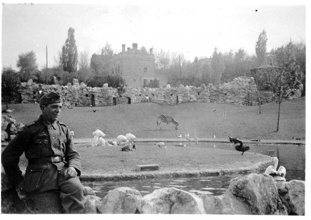 JEDINSTVENA OAZA U KRUGU DVOJKE Kako je izgledao “Zverinjak” kad je otvoren 1936. godine (FOTO)