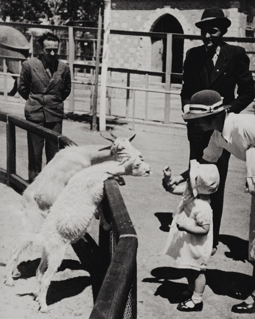 JEDINSTVENA OAZA U KRUGU DVOJKE Kako je izgledao “Zverinjak” kad je otvoren 1936. godine (FOTO)