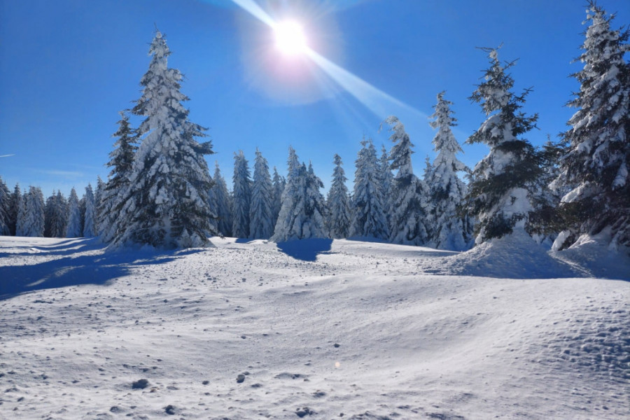 SRPSKA ZIMSKA BAJKA Planina na kojoj snega ima najviše, a cene su najniže, smeštaj se može naći za 30 eura, a obroci trostruko jeftiniji nego na Kopaoniku