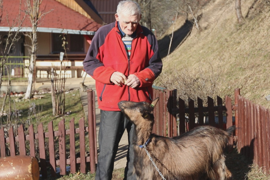 Deda Vide "razbija" na fejsbuku, njega prati na hiljade ljudi i najstariji je influenser u Srbiji: Četiri dana nije jeo kako bi savladao svaku tipku